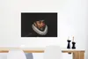 MuchoWow® Poster Wilhelm von Oranien - Adriaen Thomasz Produktbild-Vorschau 5