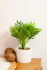 Fleur artificielle en pot - palmier ETNIK, 29 cm Voir les images du produit 2