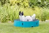 TRIXIE Hundepool - petrol/grau - ø 120 × 30 cm Produktbild-Vorschau 6