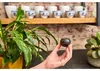 Shelly H&T WiFi-sensor Vochtigheid/Temperatuur Productafbeelding-voorbeeld 3