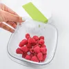Rotho Fresh, Box, Quadratisch, 1,6 l, Limette, 155 mm, 155 Produktbild-Vorschau 6