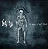 Gojira - Way of All Flesh (CD) Náhled obrázku produktu 1