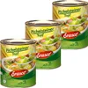 Erasco Pichelsteiner hrnec s hovězím masem a zeleninou 800g Náhled obrázku produktu 1