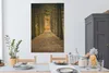 MuchoWow® - Leinwandbilder - Pfad - Bäume - Wald, Wandbild, Produktbild-Vorschau 5