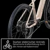 Remington XR01 E Bike Mountainbike 29 Zoll Pedelec 10 Gänge Produktbild-Vorschau 5