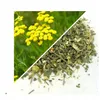 Herbs from Poland Rainfarnblüten – Natürliche Unterstützung Produktbild-Vorschau 2