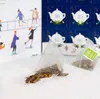 ETS - Čajový adventný kalendár s mašľou "Vianočná noc", 25 Náhľad obrázku produktu 6