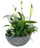 Metall Schale Schiff 25 x 11,5cm schwarz-weiß Blumenschale Produktbild-Vorschau 5