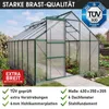 BRAST Gewächshaus Aluminium mit Fundament | 430x250x205cm | Produktbild-Vorschau 8