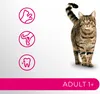 Sucha karma dla kota z wołowiną Perfect Fit Adult 7kg Podgląd zdjęcia produktu 17