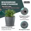 Kreher® XXL Pflanzkübel „Millennium“ Ø59xH49 cm - 80L - Produktbild-Vorschau 6
