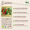 Samenliebe  Paprika Samen | Corno di Toro Rosso - rot & süß Produktbild-Vorschau 3