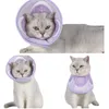 INF Halsband für Hunde und Katzen – verstellbare Passform S Produktbild-Vorschau 3