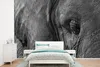 MuchoWow® Fototapete für Wohnzimmer oder Schlafzimmer Produktbild-Vorschau 1