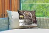 MuchoWow® Outdoor Kissen - Eichhörnchen - Wildtier - Winter Produktbild-Vorschau 3