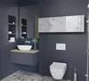 A modern bathroom with a wall-mounted vanity, sink, toilet, and a mirrored cabinet. Produktbild-Vorschau