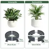QEENTOE Rouleau pour plantes, diamètre 39-52 mm, réglable, Voir les images du produit 2