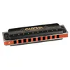 Professional Blues Harmonica in A (incl. case and cleaning Produktbild-Vorschau 12
