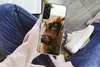 MuchoWow® Handyhülle Schutzhülle Hülle für Samsung Galaxy Produktbild-Vorschau 3