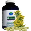 Echte Goldrute Solidago Goldrutenkraut 360 Kapseln - Nieren Produktbild-Vorschau 1