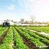 Hnojivo na bázi síranu amonného (20 kg – pro 400 m²) - Náhled obrázku produktu 3