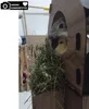 Jungengel Hasenhaus Kaninchen Meerschweinchen XL 2 Etagen Produktbild-Vorschau 10