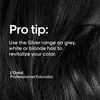 Shampoo Expert Silber L'Oreal Professionnel Paris (500 ml) Produktbild-Vorschau 7