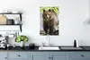 MuchoWow® Poster Bär - Braun - Wald 60x90 cm - Produktbild-Vorschau 2