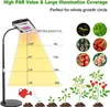 LED Pflanzenfuelllicht mit Sockel Vollspektrum Produktbild-Vorschau 6