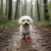 Wodoodporne buty dla psa czerwone z podeszwą antypoślizgową Podgląd zdjęcia produktu 5