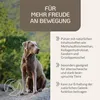 PROVICELL MobiVital I 150 Gelenk-Pulver Hund | Mit Produktbild-Vorschau 2