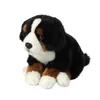 A plush toy dog sitting on a white background. Produktbild-Vorschau