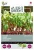 Miscela di bietole arcobaleno | Microgreens di Buzzy Seeds Anteprima dell’immagine prodotto 2