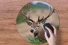 MuchoWow® Mauspad Mousepad Hirsche - Farne - Natur 50x50 cm Produktbild-Vorschau 3