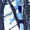 Silky Hook Fox für Teleskopsägen Hayauchi, Hayate, Longboy, Produktbild-Vorschau 2