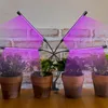 Lampada LED per piante Ikodm, 40W, spettro completo, 4 Anteprima dell’immagine prodotto 4