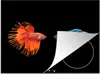 KitchenYeah© Herdabdeckplatte Fische - Wilde Tiere - Produktbild-Vorschau 1