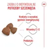 ROYAL CANIN Medium Starter Mother&Babydog 4kg Karma Sucha Podgląd zdjęcia produktu 4
