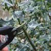 Gartenschere Astschere Blumenschere Rosenschere Schere für Produktbild-Vorschau 2