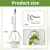 Hängende Pflanzen Hänger 2 Stück, 23 cm, Holzsockel, Produktbild-Vorschau 2