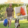 Set PawHut per agility: attrezzatura da agility in 6 pezzi Anteprima dell’immagine prodotto 7