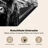 KitchenYeah© Herdabdeckplatte Schottischer Highlander - Kuh Produktbild-Vorschau 3