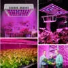600W Vollspektrum LED Pflanzenlampe, geräuschlos & Produktbild-Vorschau 9