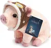 Vielleicht Plüschschwein Produktbild-Vorschau 1
