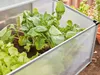 Florabest Garten Frühbeet 373450 Produktbild-Vorschau 5