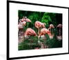MuchoWow® Gerahmtes Poster Flamingo - Tropisch - Vogel - Produktbild-Vorschau 1