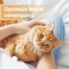 Felisept Wundgel für Katzen 20ml Produktbild-Vorschau 2