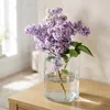 Vetro decorativo, vaso ZYLINDER H. 20cm D. 11,5cm vetro Anteprima dell’immagine prodotto 5