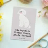 Mr. & Mrs. Panda Postkarte Kleinpudel Liebe - Grau Pastell Produktbild-Vorschau 2