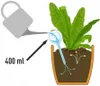 Illustration showing how to use a watering globe to water a plant. Anteprima dell’immagine prodotto